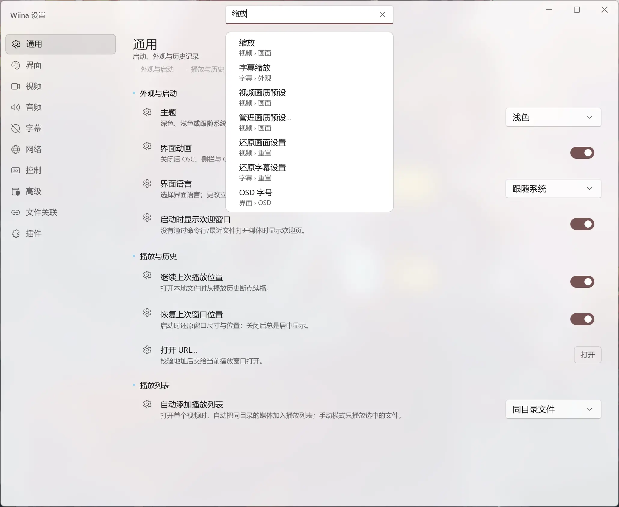 Wiina 设置搜索，输入字幕显示相关设置项